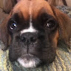 Meet your Posher, Trudy